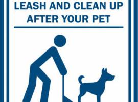 Picking up your pet's excrements 