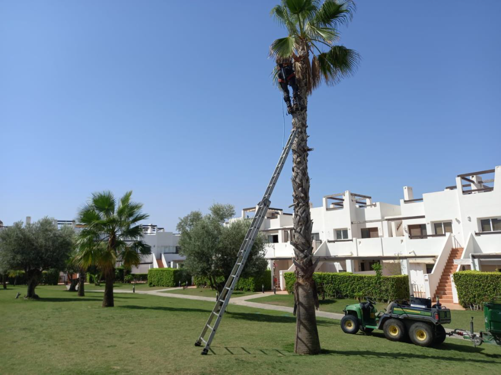 2022-08 REPORTE DEL ESTADO DE LA JARDINERÍA SEMANA 32