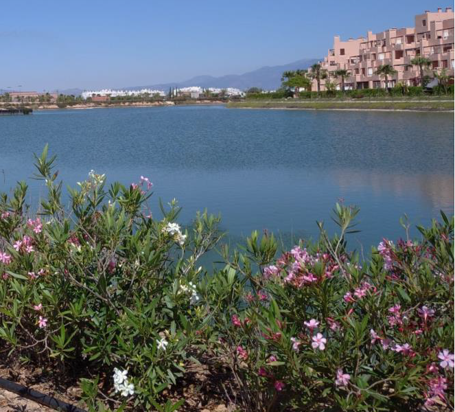 2026-09 - Report on the status of reservoirs and lakes, irrigation water, and chlorine consumption 2026-09 - Report on the status of reservoirs and lakes, irrigation water, and chlorine consumption