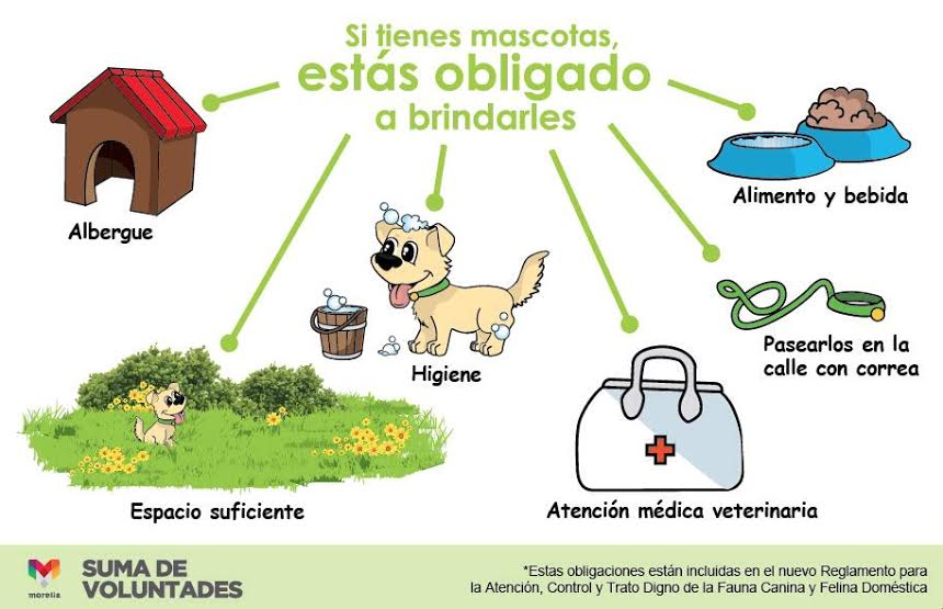 Condado Pets Committee Campaign Week! – Day 1 – Community Rules and Spanish Pet law