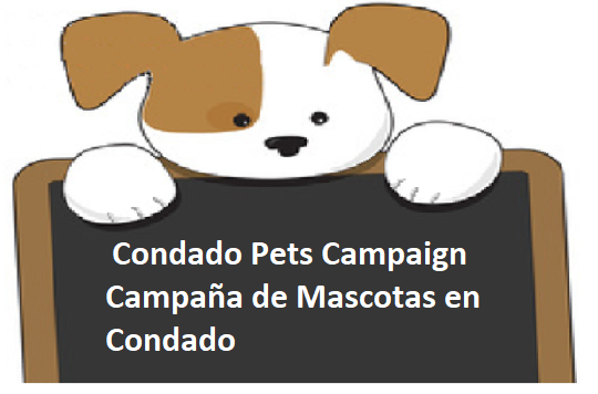 Pets Campaign