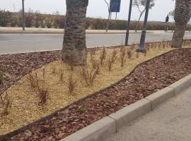 Information: Landscaping Works on Condado de Alhama Information: Landscaping Works on Condado de Alhama