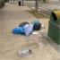 Jardines II - Correct use of waste and garbage containers