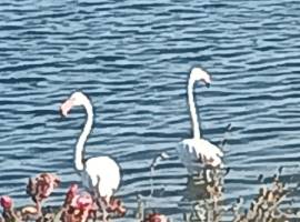 Ornamental Lake - Update Ornamental Lake - Update