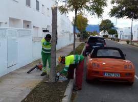 Noticias de jardinería para la semana 4 y el mes de febrero Noticias de jardinería para la semana 4 y el mes de febrero