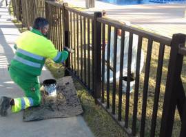 Gardening News for Week 8 and the month of March Gardening News for Week 8 and the month of March