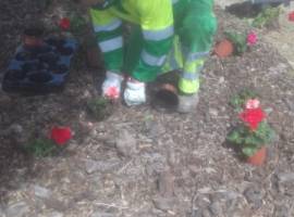 Gardening News for Week 13 and the month of April Gardening News for Week 13 and the month of April