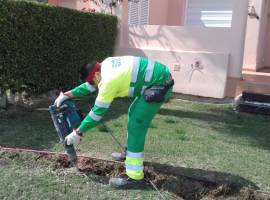 Noticias de jardinería para la semana 17 y el mes de mayo Noticias de jardinería para la semana 17 y el mes de mayo