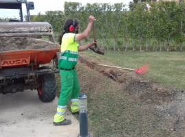 Noticias de jardineria semena 18 Noticias de jardineria semena 18