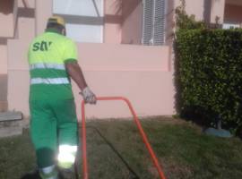 Gardening Report for week 53 and Plan for January 2021 Gardening Report for week 53 and Plan for January 2021