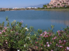 2026-04 - Monthly Report of ponds, lakes and chlorine
