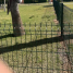 Jardines II - Advertencia de seguridad sobre valla de piscina de Naranjos 8