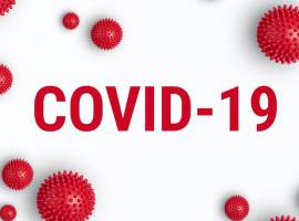 Actualización Covid -19 (31-03-2020) Actualización Covid -19 (31-03-2020)