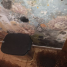 Jardines II - Duty to maintain private property in good repair