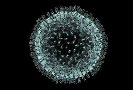 Actualización sobre el coronavirus (Covid-19) Actualización sobre el coronavirus (Covid-19)