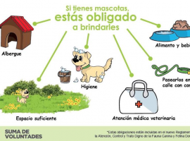 ​Semana de campaña del Comité de Mascotas del Condado - Día 1 - Normas comunitarias y ley española de animales de compañía